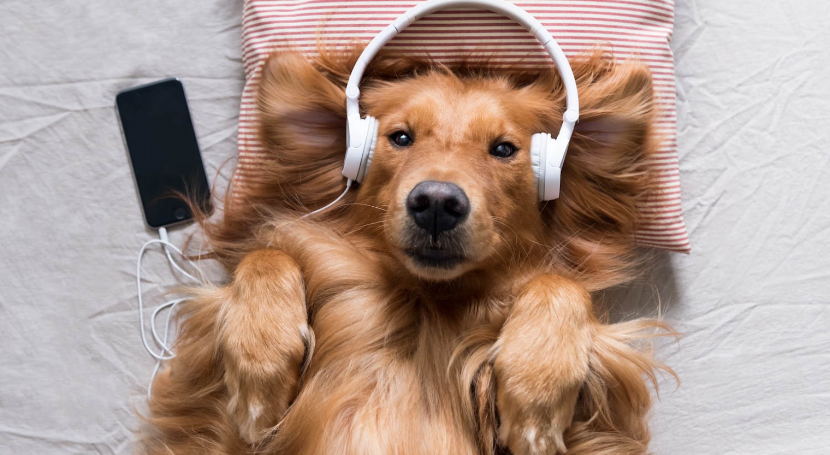 Beautiful rentals in Huntsville, AL The Foundry